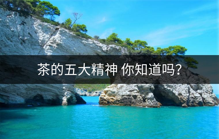 茶的五大精神 你知道嗎？