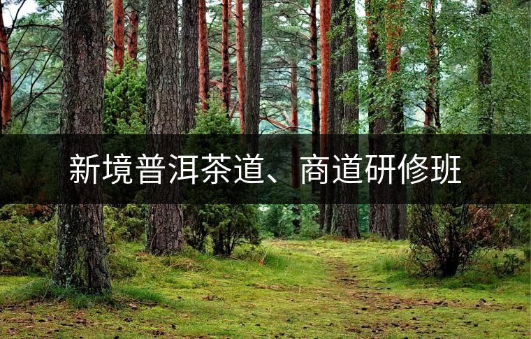 新境普洱茶道、商道研修班
