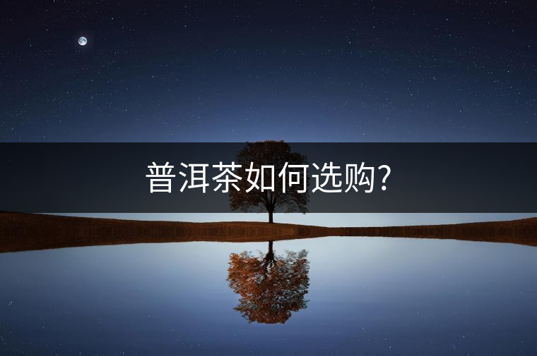 普洱茶如何選購(gòu)?