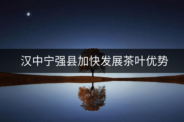 漢中寧強(qiáng)縣加快發(fā)展茶葉優(yōu)勢產(chǎn)業(yè) 漢中寧強(qiáng)縣加快發(fā)展茶葉優(yōu)勢產(chǎn)業(yè)