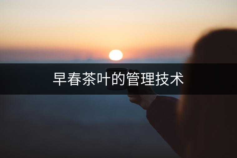 早春茶葉的管理技術 早春茶葉的管理技術