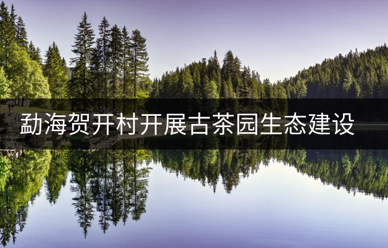 勐海賀開村開展古茶園生態(tài)建設(shè)示范培訓(xùn) 勐海賀開村開展古茶園生態(tài)建設(shè)示范培訓(xùn)