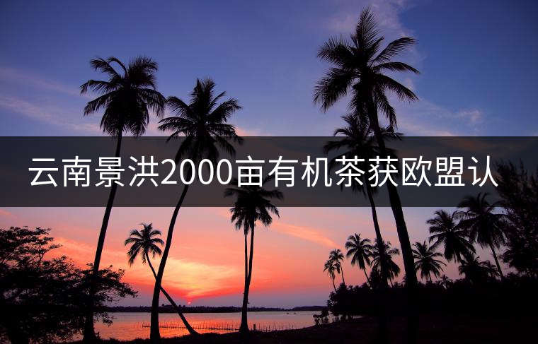云南景洪2000畝有機(jī)茶獲歐盟認(rèn)證 云南景洪2000畝有機(jī)茶獲歐盟認(rèn)證