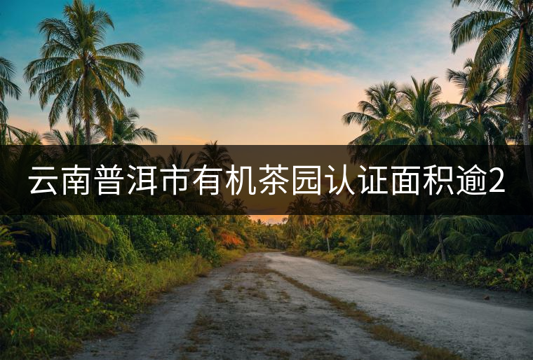 云南普洱市有機(jī)茶園認(rèn)證面積逾20萬(wàn)畝 云南普洱市有機(jī)茶園認(rèn)證面積逾20萬(wàn)畝