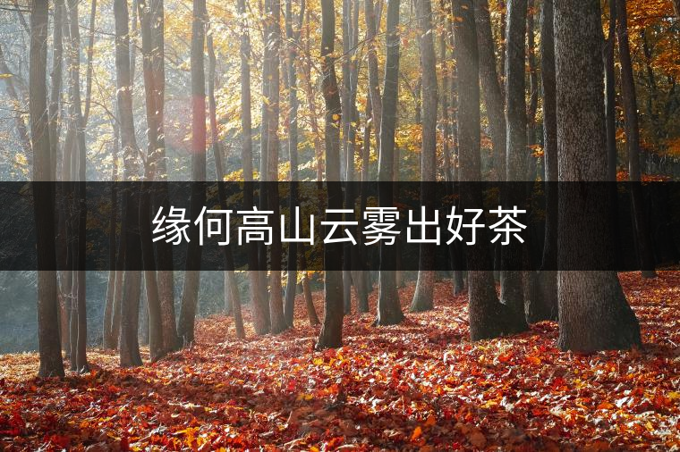 緣何高山云霧出好茶 緣何高山云霧出好茶
