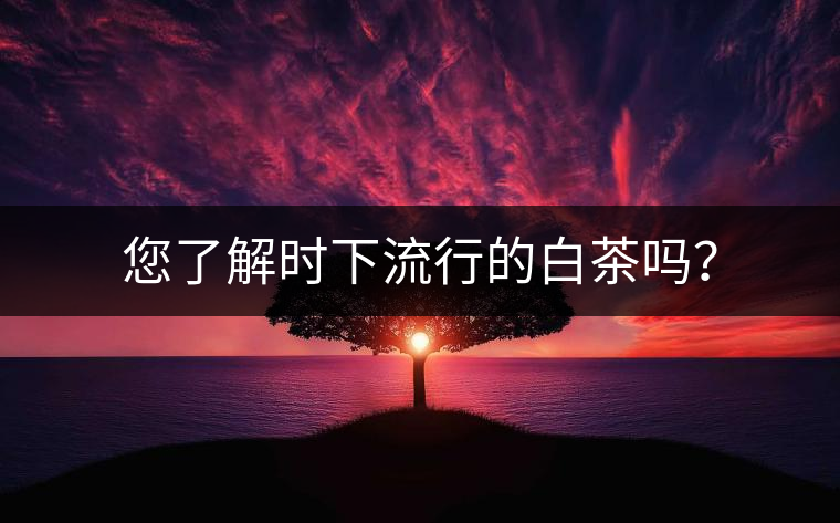 您了解時下流行的白茶嗎？