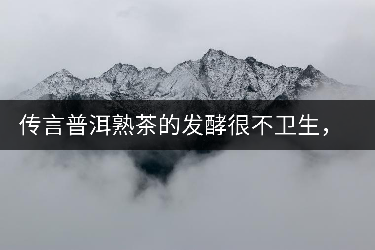 傳言普洱熟茶的發(fā)酵很不衛(wèi)生，是真的嗎？