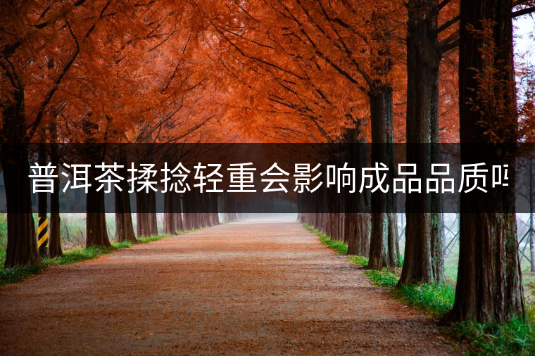 普洱茶揉捻輕重會影響成品品質嗎？