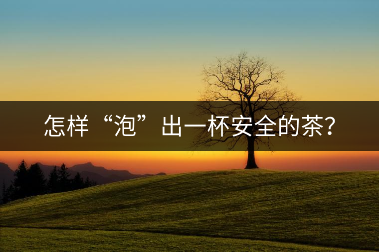 怎樣“泡”出一杯安全的茶？