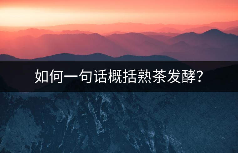 如何一句話概括熟茶發(fā)酵？