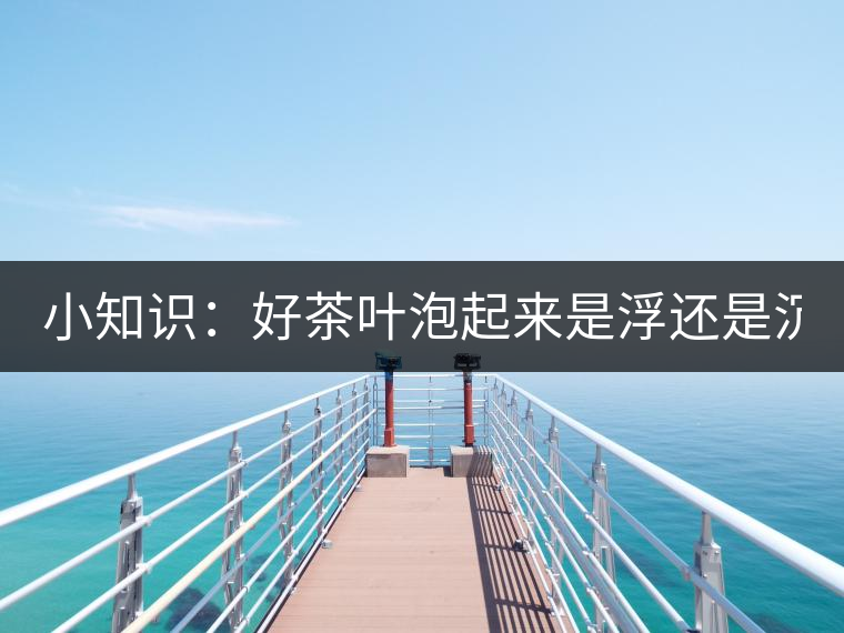 小知識(shí)：好茶葉泡起來是浮還是沉？