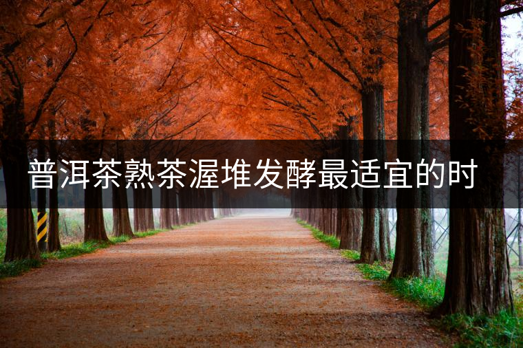 普洱茶熟茶渥堆發(fā)酵最適宜的時(shí)期是什么時(shí)候？