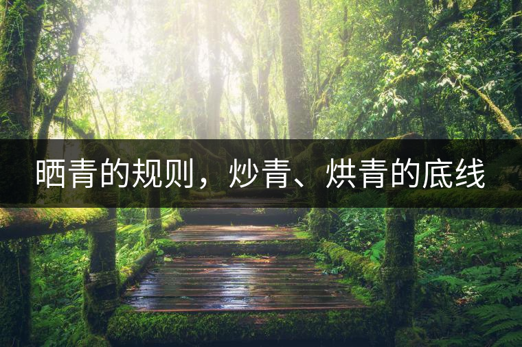 曬青的規(guī)則，炒青、烘青的底線