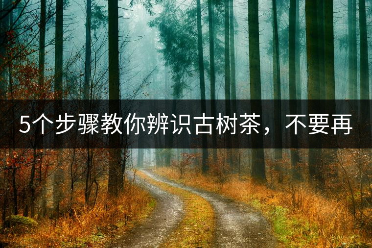 5個(gè)步驟教你辨識(shí)古樹茶，不要再被騙了！