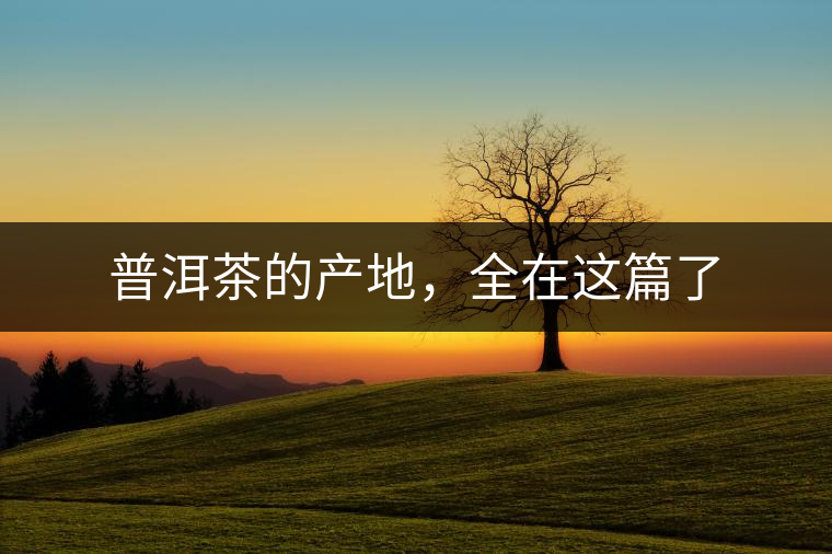 普洱茶的產(chǎn)地，全在這篇了