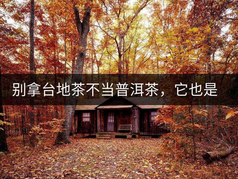 別拿臺地茶不當普洱茶，它也是大葉種喬木