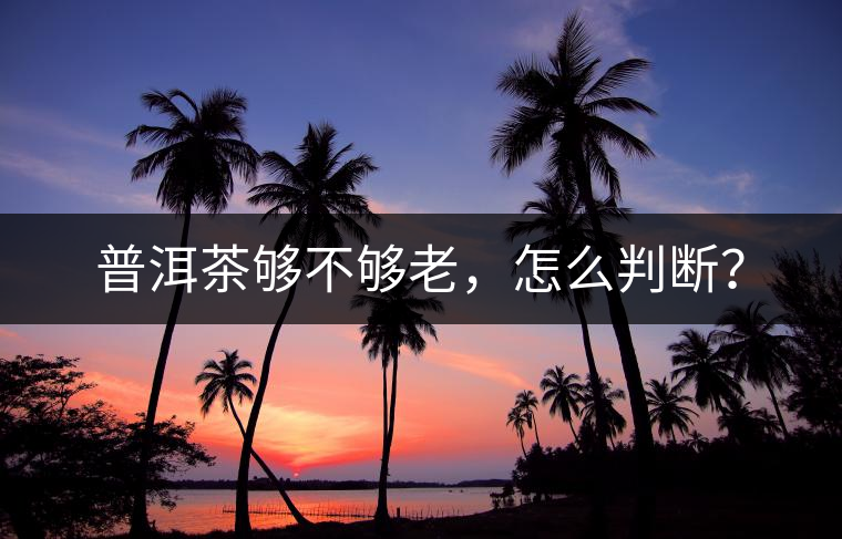 普洱茶夠不夠老，怎么判斷？