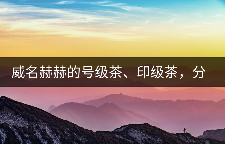 威名赫赫的號(hào)級(jí)茶、印級(jí)茶，分別是些什么普洱茶？