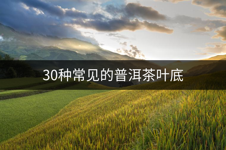 30種常見(jiàn)的普洱茶葉底