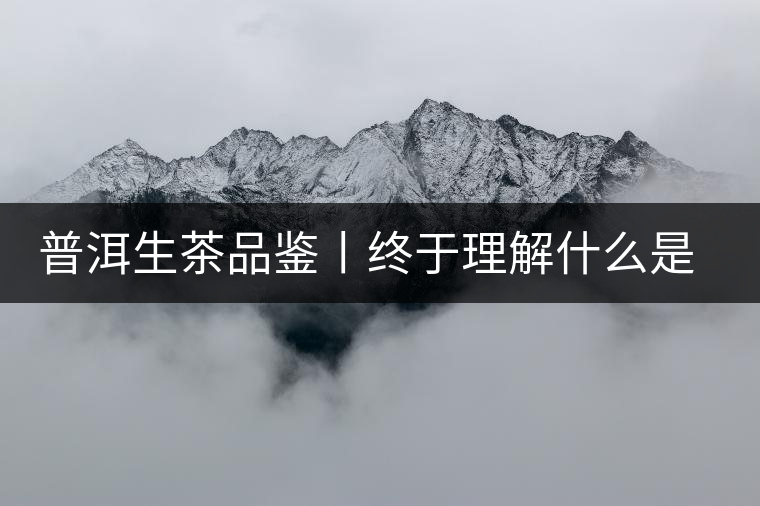 普洱生茶品鑒丨終于理解什么是“醇厚、耐泡，回甘”了
