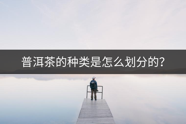 普洱茶的種類是怎么劃分的？
