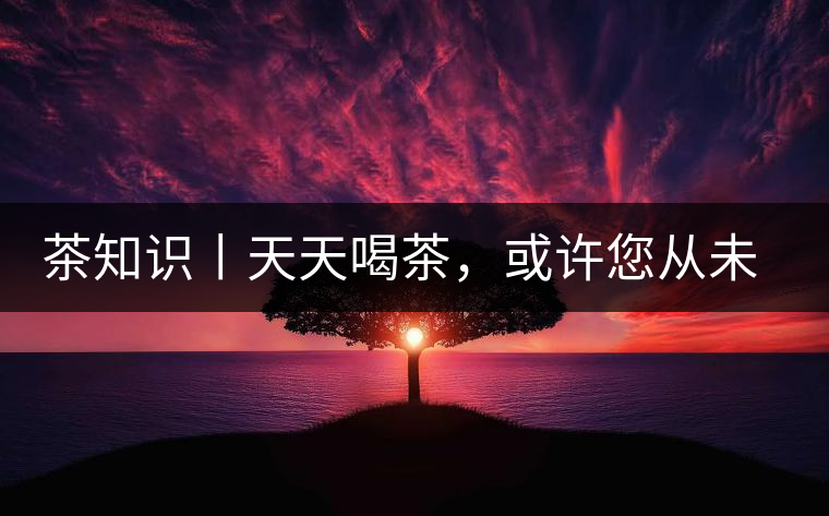 茶知識(shí)丨天天喝茶，或許您從未注意過(guò)茶樹(shù)花