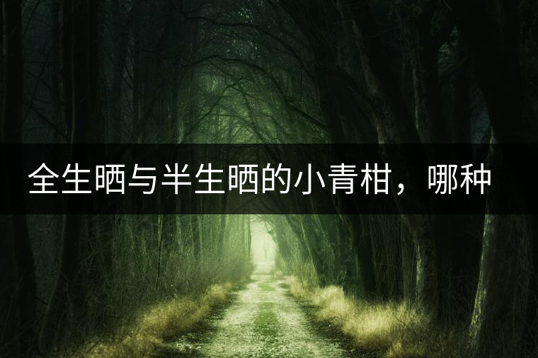 全生曬與半生曬的小青柑，哪種比較好呢？