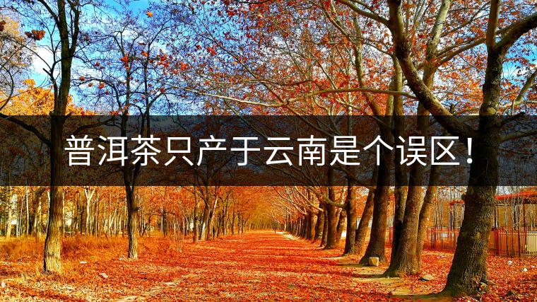 普洱茶只產(chǎn)于云南是個誤區(qū)！