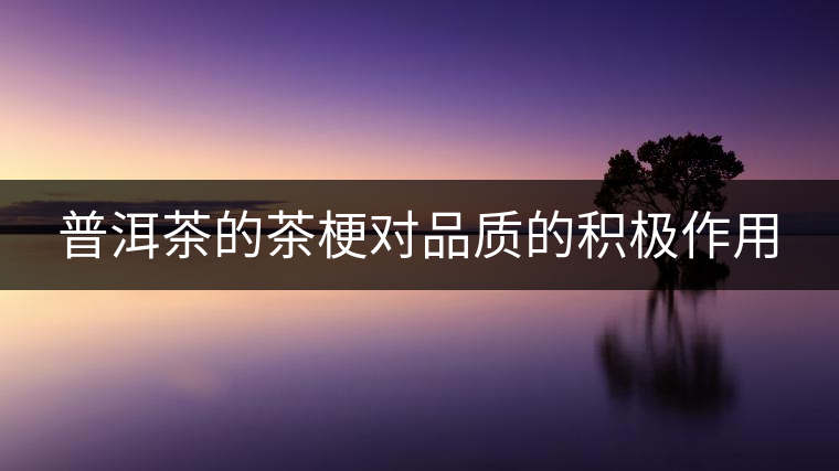 普洱茶的茶梗對(duì)品質(zhì)的積極作用 普洱茶的茶梗對(duì)品質(zhì)的積極作用