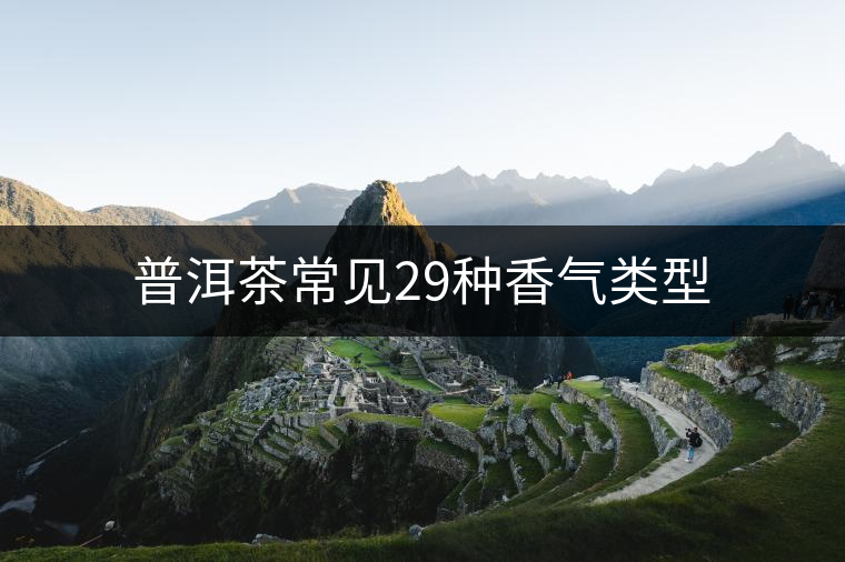 普洱茶常見(jiàn)29種香氣類型 普洱茶常見(jiàn)29種香氣類型