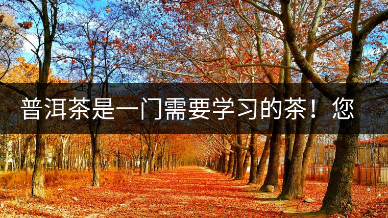 普洱茶是一門需要學(xué)習(xí)的茶！您學(xué)到了多少？看看專家怎么說