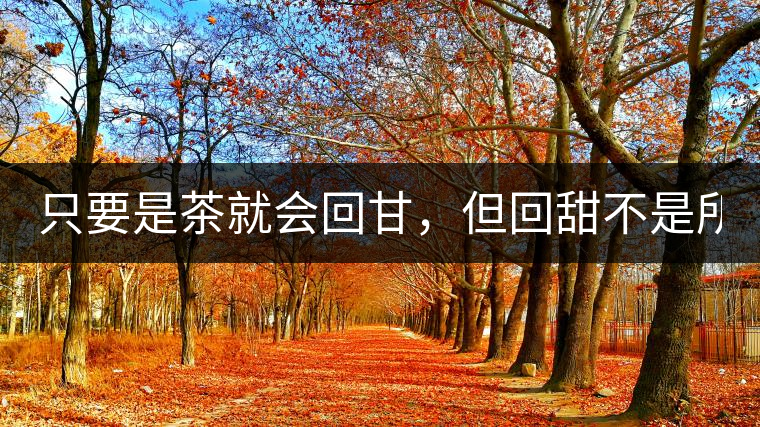 只要是茶就會回甘，但回甜不是所有茶都有！