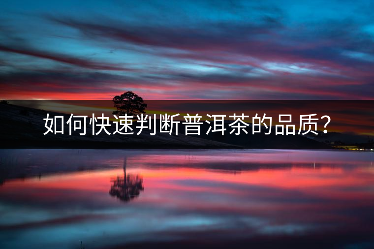 如何快速判斷普洱茶的品質(zhì)？