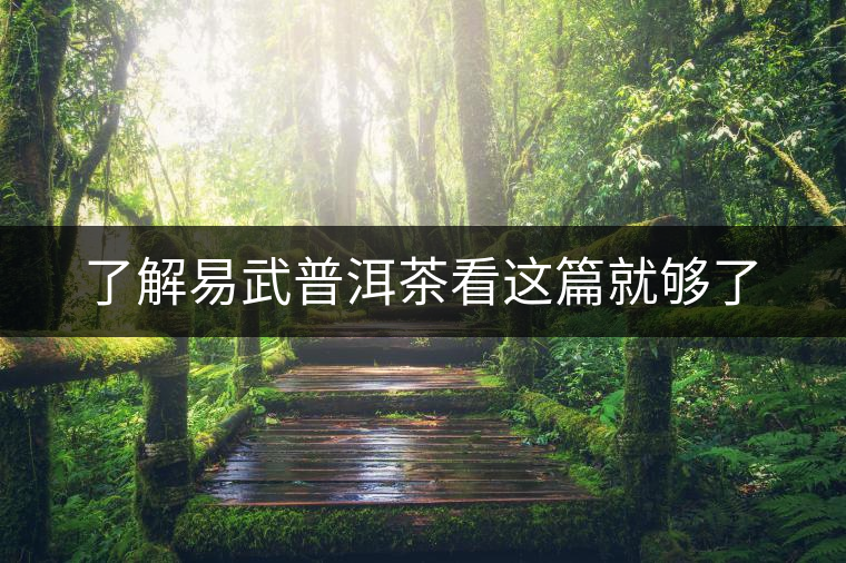了解易武普洱茶看這篇就夠了 了解易武普洱茶看這篇就夠了