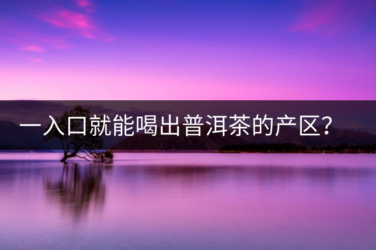 一入口就能喝出普洱茶的產(chǎn)區(qū)？怎么能不讀這篇文章呢？