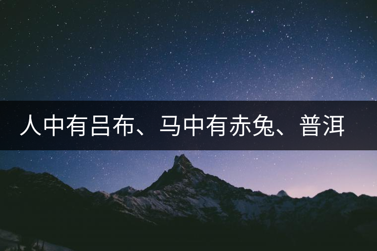 人中有呂布、馬中有赤兔、普洱中有茶化石：碎銀子！
