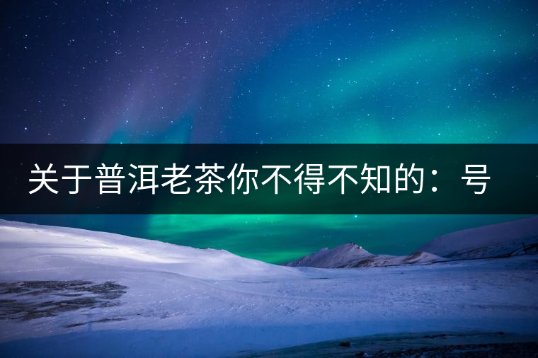關(guān)于普洱老茶你不得不知的：號(hào)級(jí)茶、印級(jí)茶、七子餅茶
