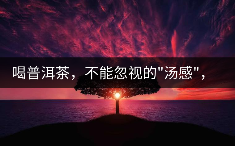 喝普洱茶，不能忽視的