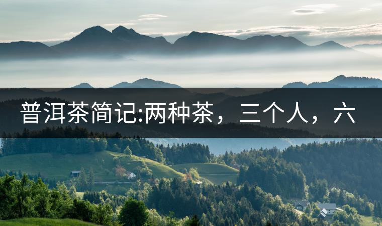 普洱茶簡記:兩種茶，三個人，六座山，七塊餅
