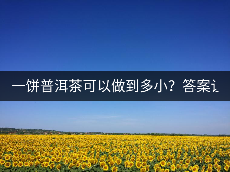 一餅普洱茶可以做到多??？答案讓人意想不到...