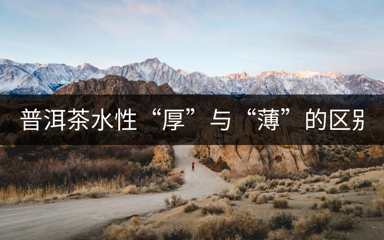 普洱茶水性“厚”與“薄”的區(qū)別！
