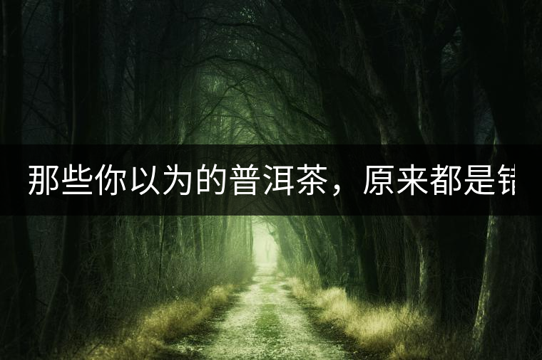 那些你以為的普洱茶，原來都是錯(cuò)的！