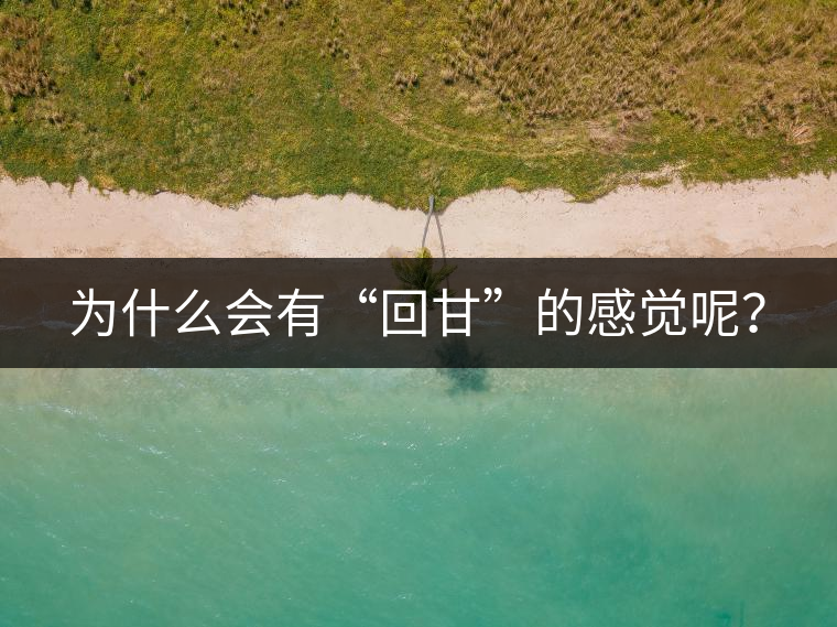 為什么會有“回甘”的感覺呢? 為什么會有“回甘”的感覺呢?