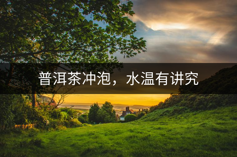 普洱茶沖泡，水溫有講究