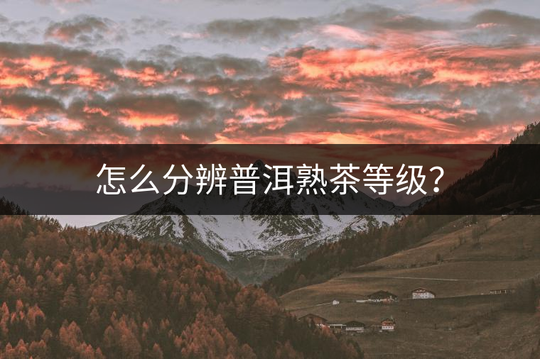 怎么分辨普洱熟茶等級(jí)？