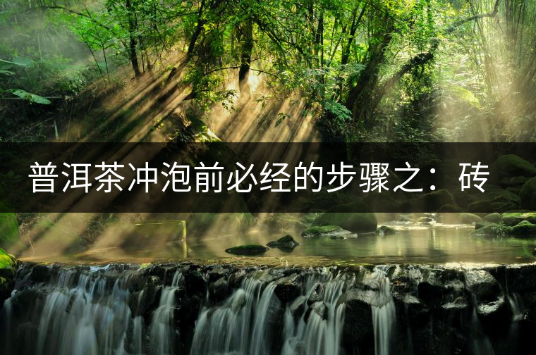 普洱茶沖泡前必經(jīng)的步驟之：磚茶如何撬？