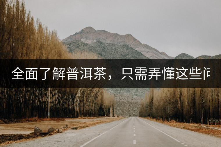 全面了解普洱茶，只需弄懂這些問(wèn)題！