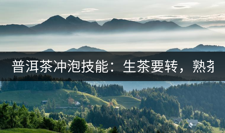 普洱茶沖泡技能：生茶要轉，熟茶要柔！