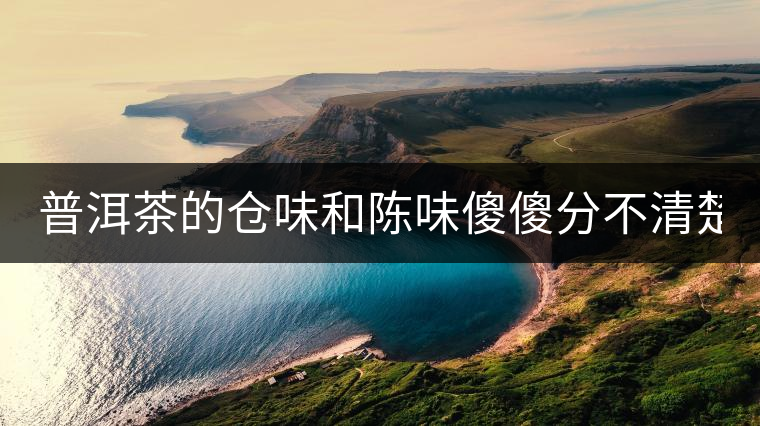 普洱茶的倉味和陳味傻傻分不清楚? 普洱茶的倉味和陳味傻傻分不清楚?