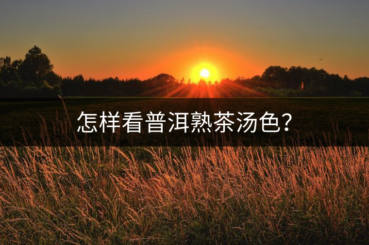 怎樣看普洱熟茶湯色？